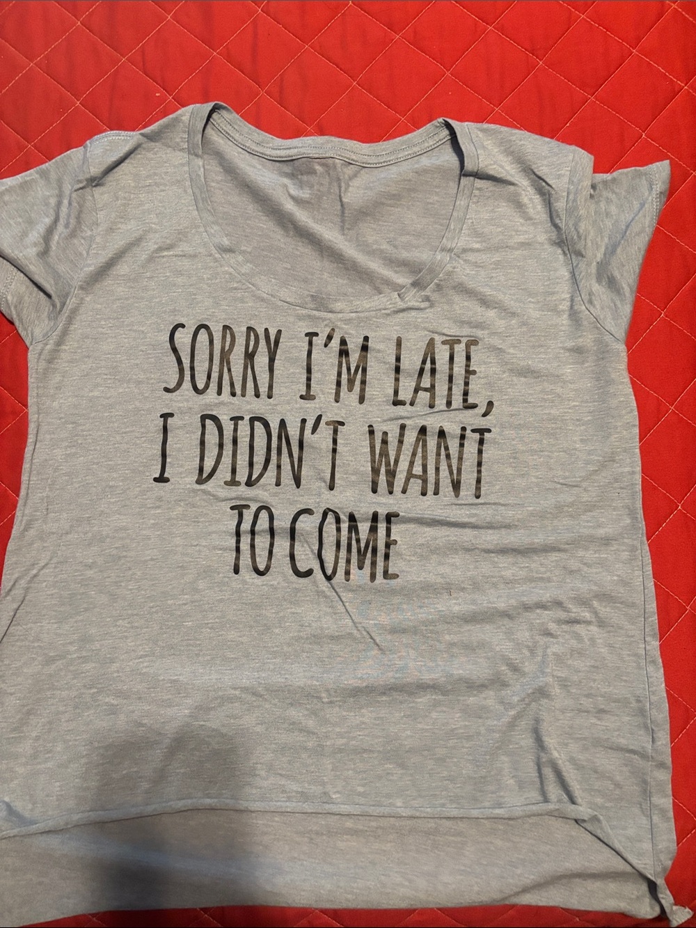 Graphic Tee "Sorry I'm Late, I Didn't Want To Come" - Light Gray